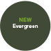 Evergreen - New